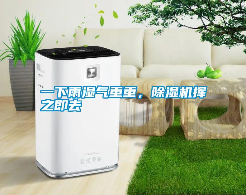一下雨濕氣重重，除濕機揮之即去
