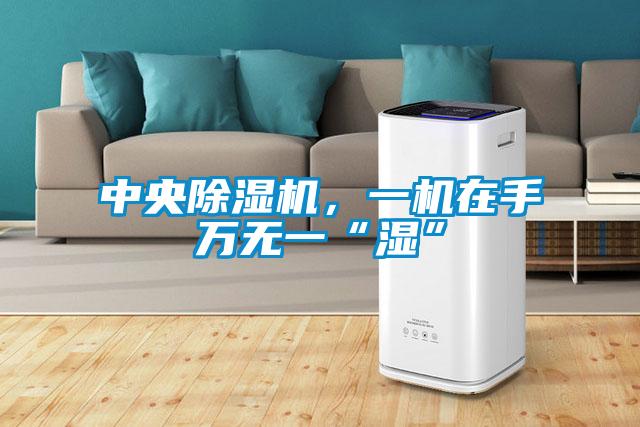 中央除濕機(jī),一機(jī)在手萬(wàn)無(wú)一“濕”