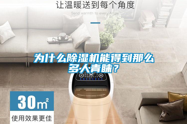 為什么除濕機能得到那么多人青睞？