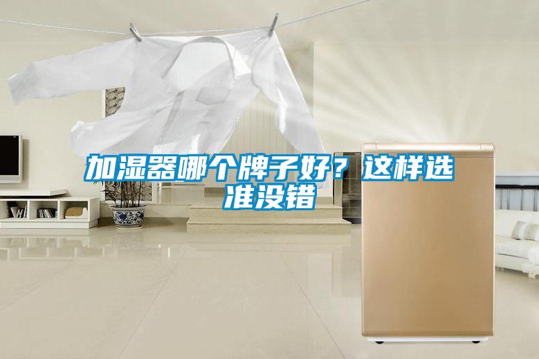 加濕器哪個(gè)牌子好？這樣選準(zhǔn)沒(méi)錯(cuò)