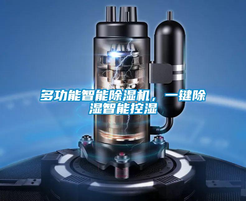 多功能智能除濕機(jī),一鍵除濕智能控濕