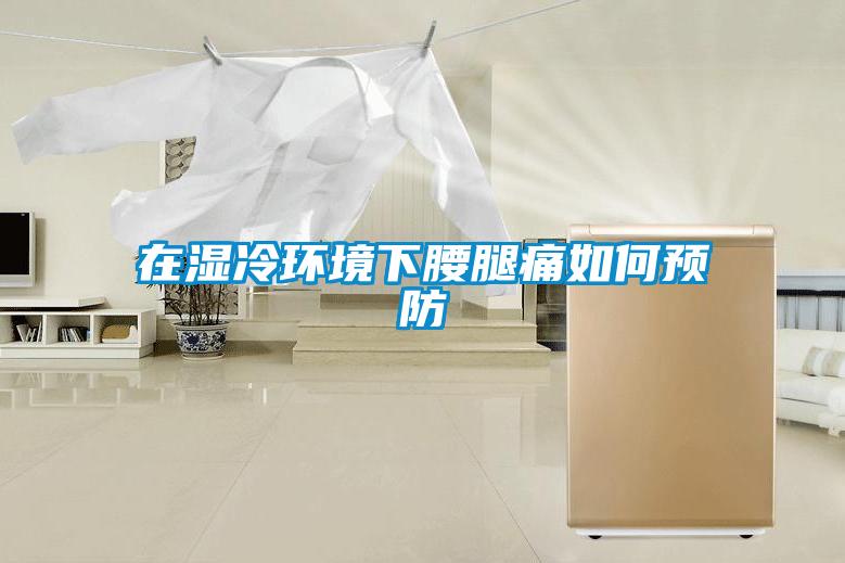 在濕冷環(huán)境下腰腿痛如何預(yù)防