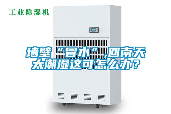 墻壁“冒水”,回南天太潮濕這可怎么辦?