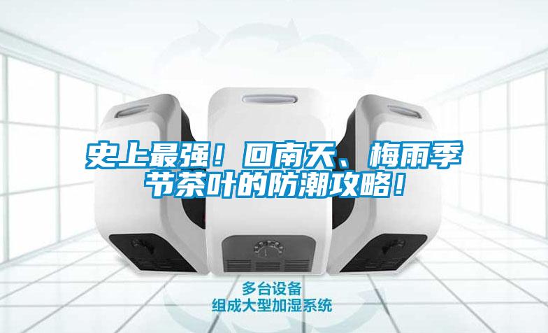 史上最強！回南天、梅雨季節茶葉的防潮攻略！