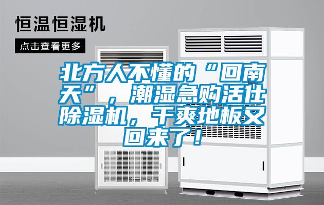 北方人不懂的“回南天”，潮濕急購活仕除濕機(jī)，干爽地板又回來了！