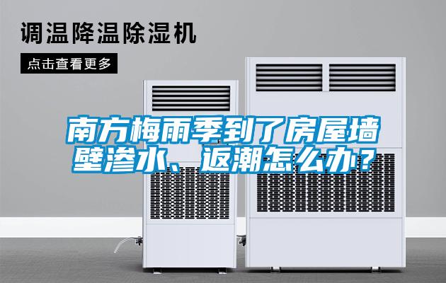 南方梅雨季到了房屋墻壁滲水、返潮怎么辦？
