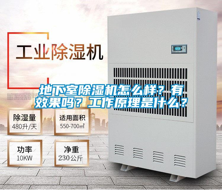 地下室除濕機(jī)怎么樣？有效果嗎？工作原理是什么？