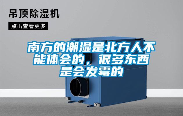 南方的潮濕是北方人不能體會的，很多東西是會發霉的