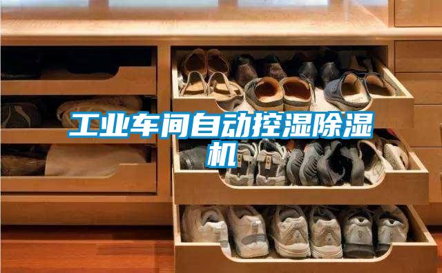 工業(yè)車間自動控濕除濕機(jī)