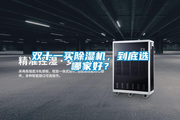 雙十一買除濕機,到底選哪家好?