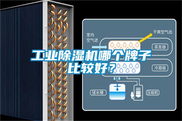 工業(yè)除濕機(jī)哪個(gè)牌子比較好？