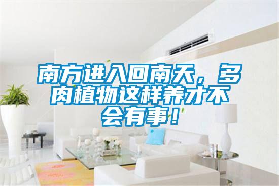 南方進入回南天,多肉植物這樣養(yǎng)才不會有事!