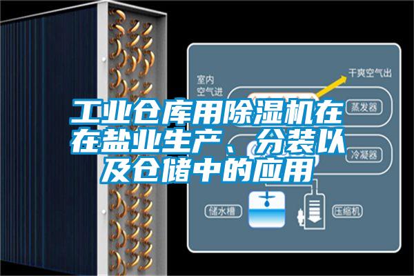 工業倉庫用除濕機在在鹽業生產、分裝以及倉儲中的應用