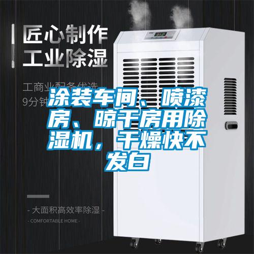 涂裝車間、噴漆房、晾干房用除濕機，干燥快不發白