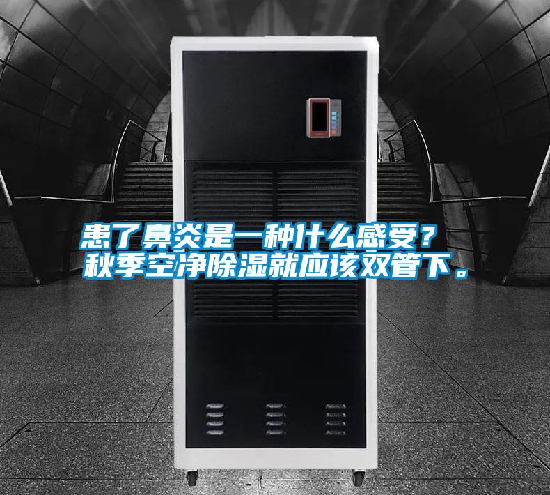 患了鼻炎是一種什么感受？ 秋季空凈除濕就應該雙管下。