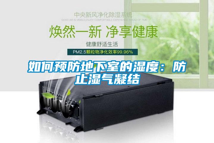 如何預防地下室的濕度:防止?jié)駳饽Y