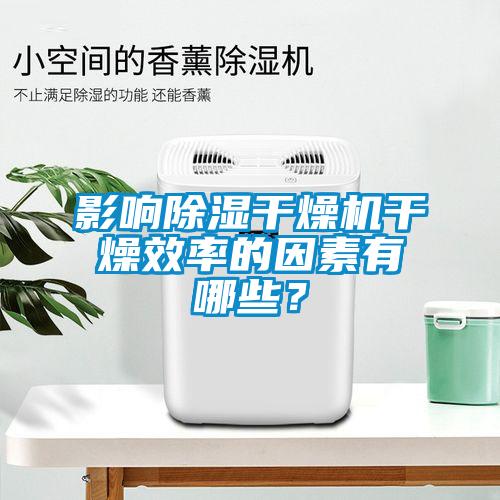 影響除濕干燥機干燥效率的因素有哪些?