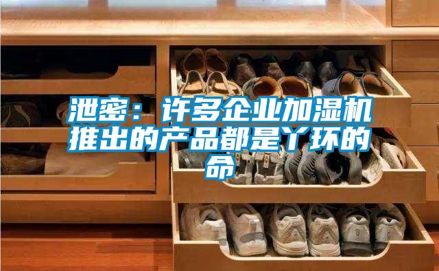 泄密:許多企業加濕機推出的產品都是丫環的命