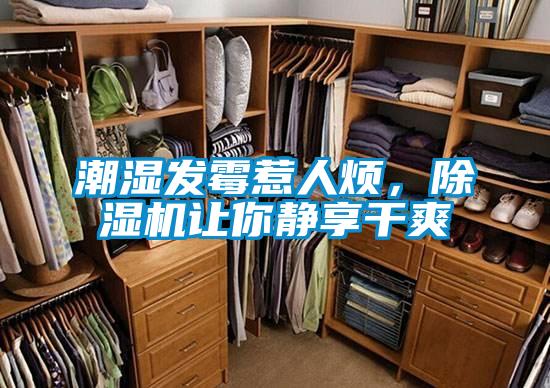 潮濕發(fā)霉惹人煩，除濕機讓你靜享干爽