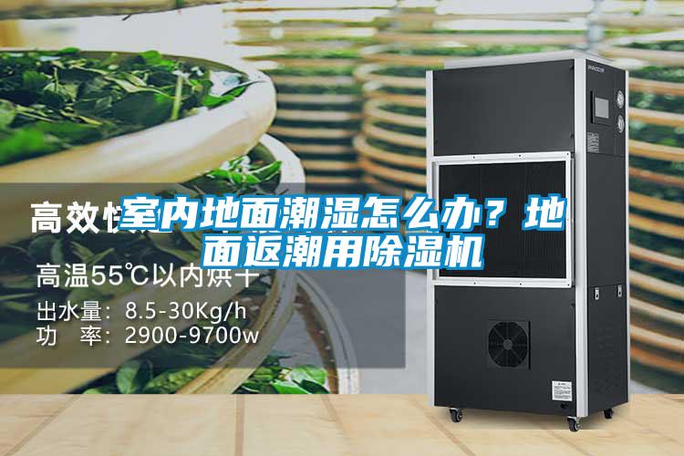 室內(nèi)地面潮濕怎么辦?地面返潮用除濕機