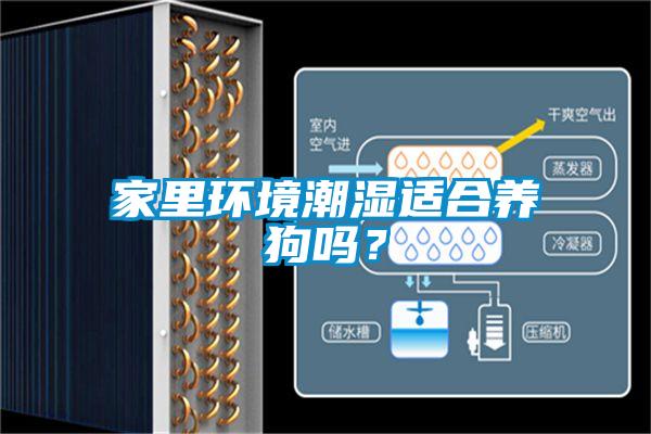 家里環(huán)境潮濕適合養(yǎng)狗嗎?