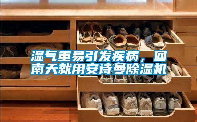 濕氣重易引發疾病，回南天就用安詩曼除濕機