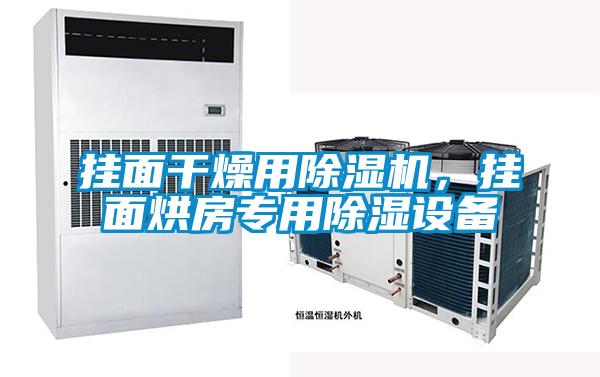 掛面干燥用除濕機，掛面烘房專用除濕設備