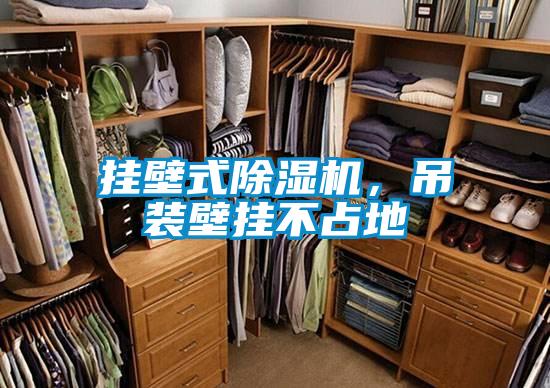 掛壁式除濕機(jī)，吊裝壁掛不占地