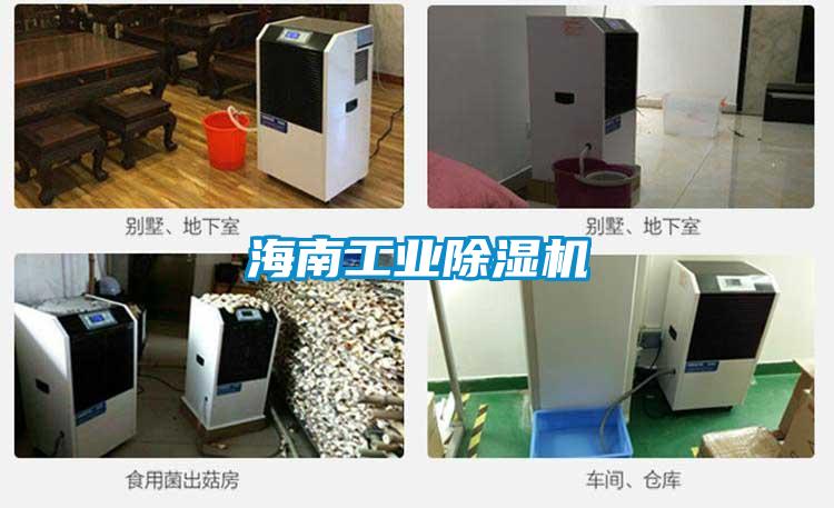海南工業(yè)除濕機