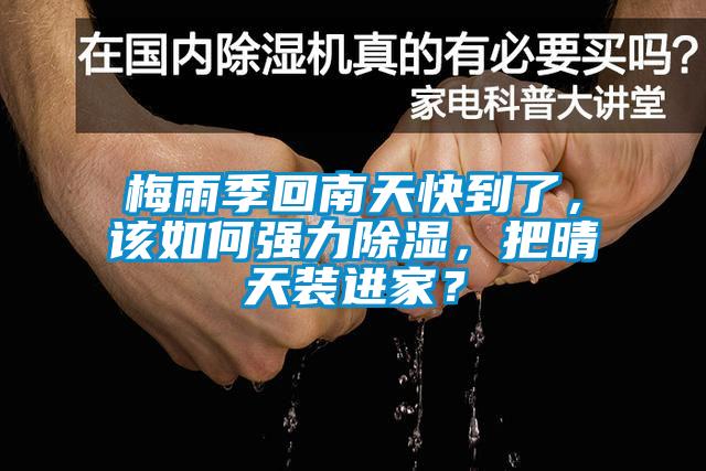 梅雨季回南天快到了，該如何強力除濕，把晴天裝進家？