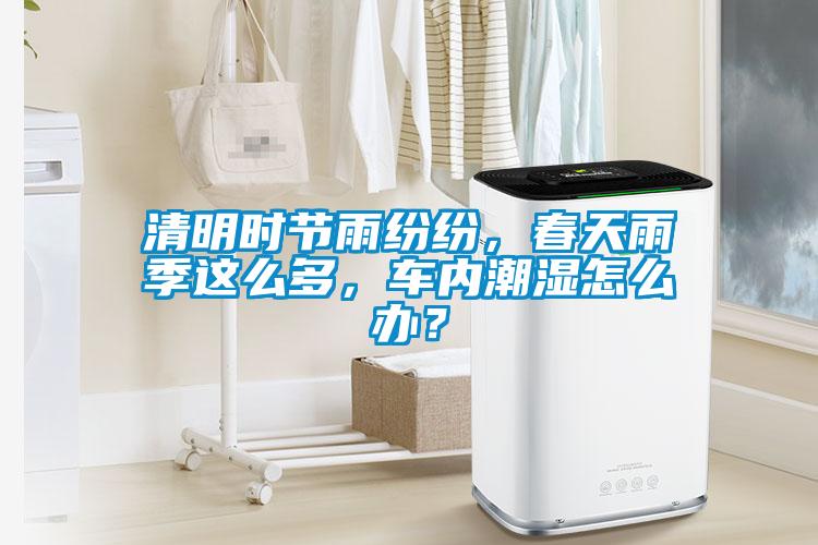 清明時節(jié)雨紛紛,春天雨季這么多,車內潮濕怎么辦?