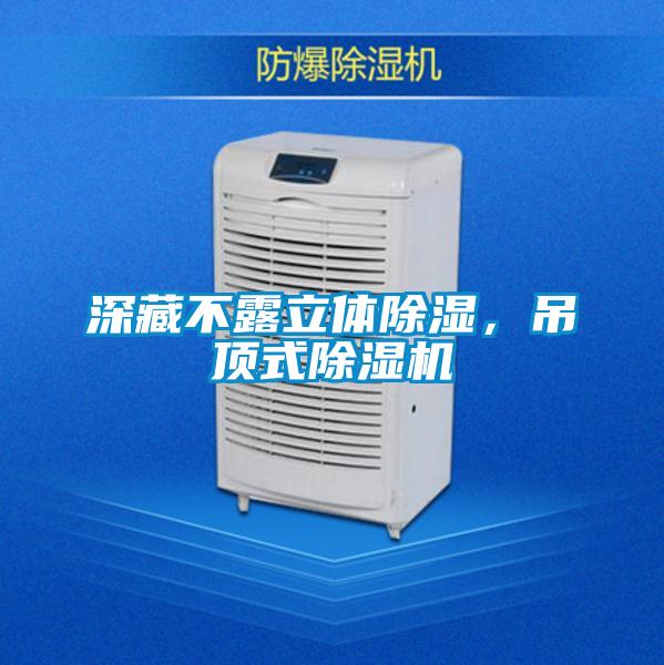 深藏不露立體除濕，吊頂式除濕機(jī)