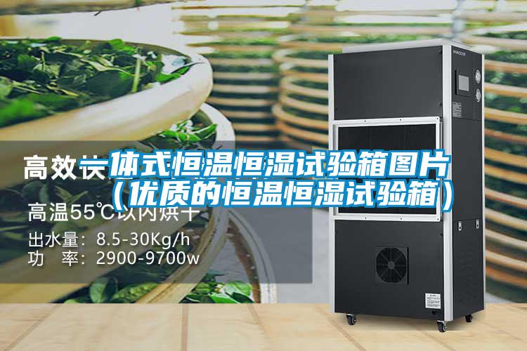 一體式恒溫恒濕試驗箱圖片(優質的恒溫恒濕試驗箱)