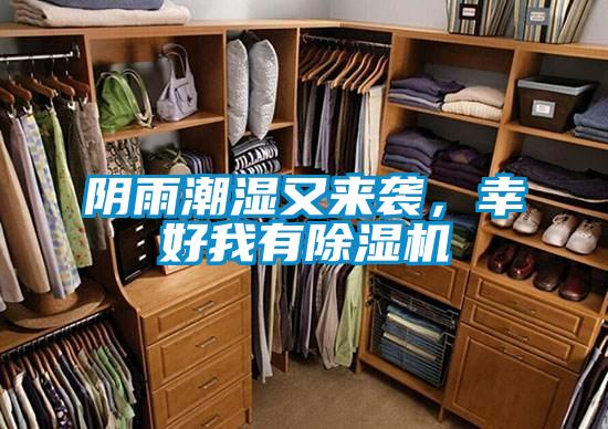 陰雨潮濕又來襲，幸好我有除濕機(jī)
