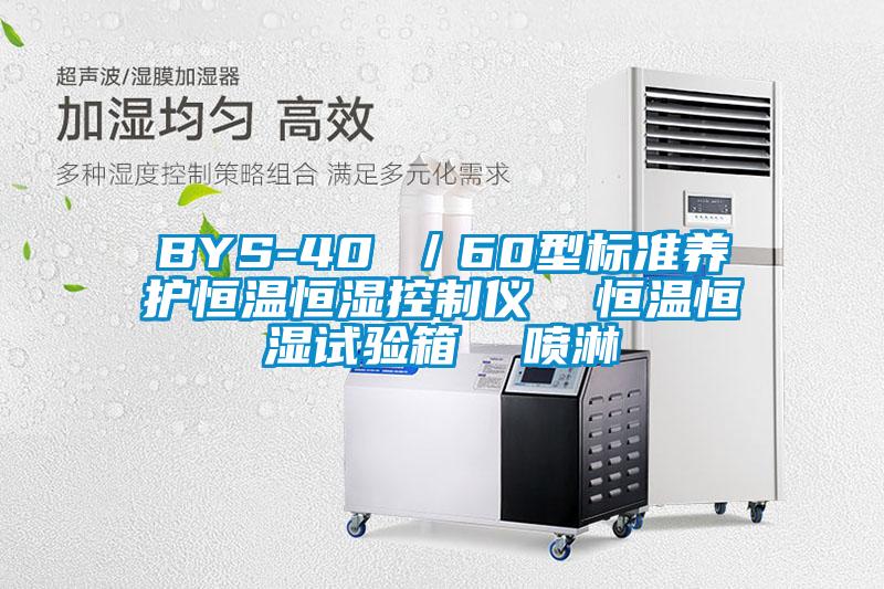 BYS-40 ／60型標準養(yǎng)護恒溫恒濕控制儀  恒溫恒濕試驗箱  噴淋