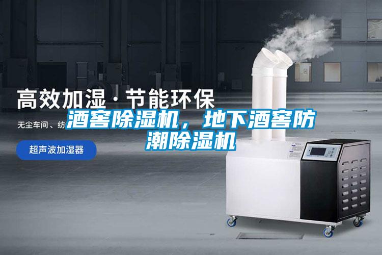 酒窖除濕機(jī)，地下酒窖防潮除濕機(jī)