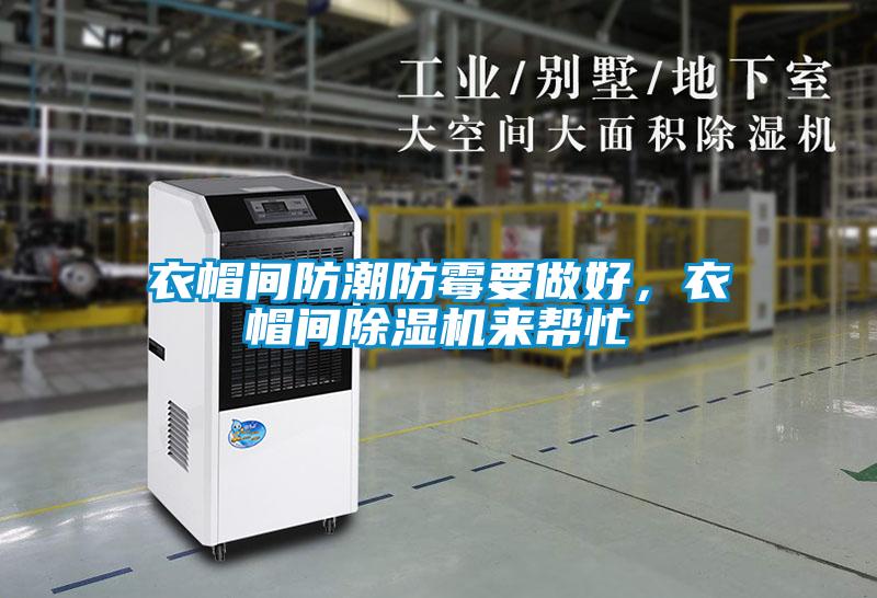 衣帽間防潮防霉要做好,衣帽間除濕機(jī)來(lái)幫忙