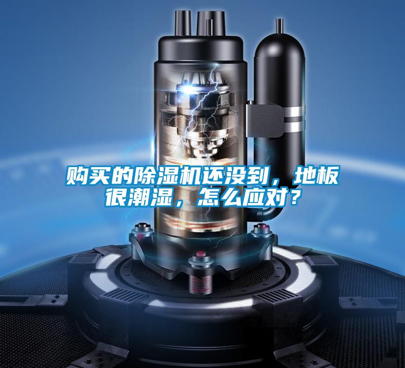 購買的除濕機還沒到，地板很潮濕，怎么應對？