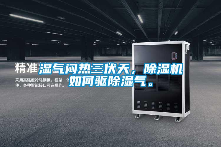 濕氣悶熱三伏天，除濕機如何驅除濕氣。