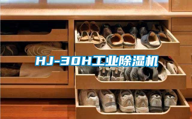 HJ-30H工業(yè)除濕機