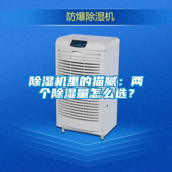 除濕機(jī)里的貓膩：兩個除濕量怎么選？