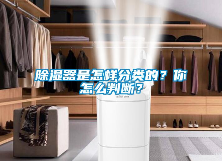 除濕器是怎樣分類的?你怎么判斷?