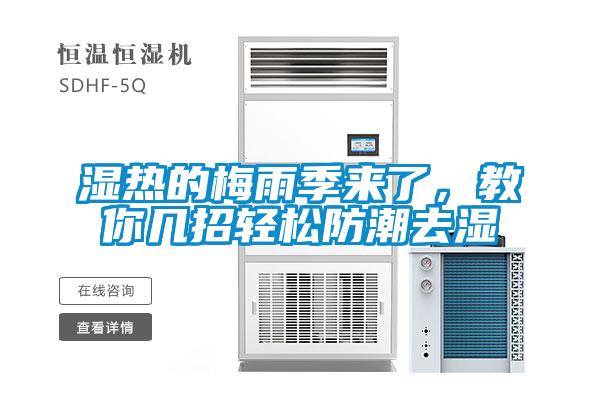 濕熱的梅雨季來了，教你幾招輕松防潮去濕