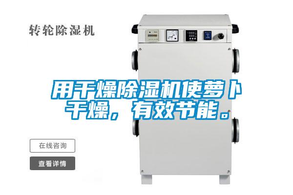 用干燥除濕機(jī)使蘿卜干燥，有效節(jié)能。