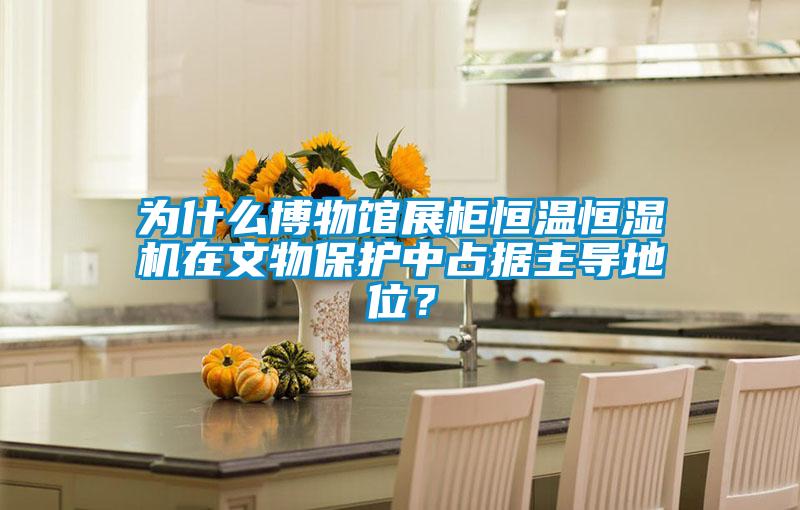 為什么博物館展柜恒溫恒濕機在文物保護中占據主導地位？