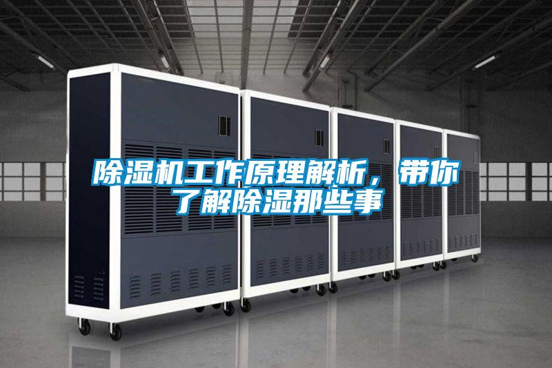 除濕機工作原理解析，帶你了解除濕那些事