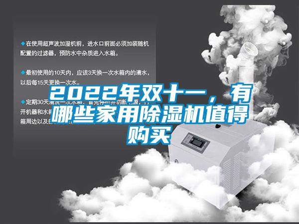 2022年雙十一，有哪些家用除濕機(jī)值得購(gòu)買(mǎi)