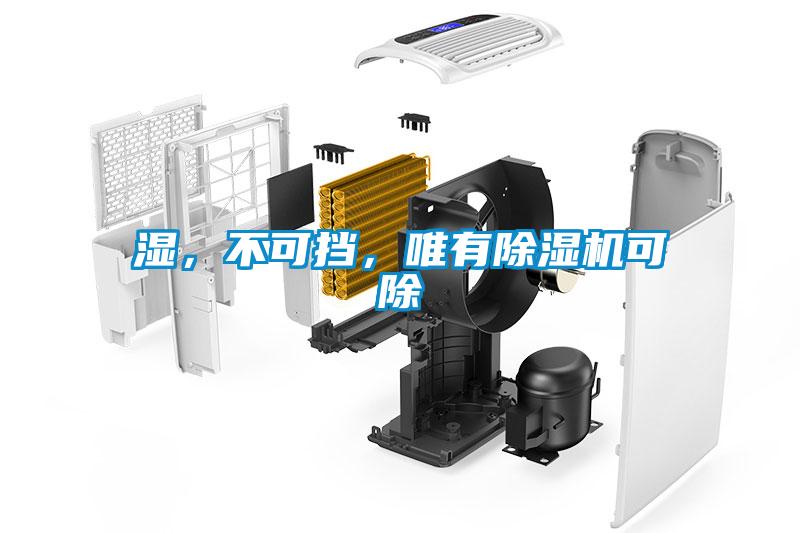 濕,不可擋,唯有除濕機可除