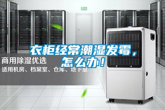 衣柜經常潮濕發霉，怎么辦！
