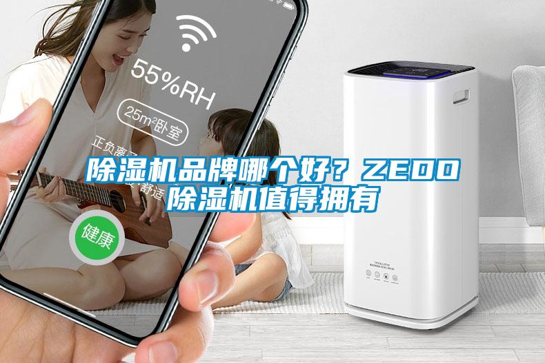 除濕機品牌哪個好?ZEDO除濕機值得擁有
